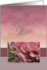 For a Special Mom, Pink Flower card