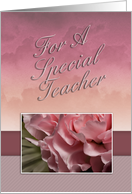 Thank You For a Special Teacher, Pink Flower card