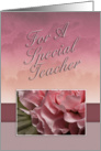 Thank You For a Special Teacher, Pink Flower card