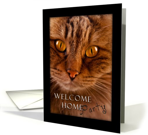 Welcome Home Party, cat card (619248)