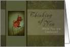 Thinking of You - While You are Deployed, Flower with Green Background card