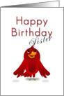 Sister Happy Birthday, Cartoon Bird card