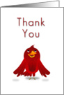 Thank You, Cartoon Bird card
