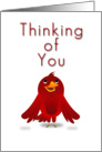 Thinking of You, Cartoon Bird card