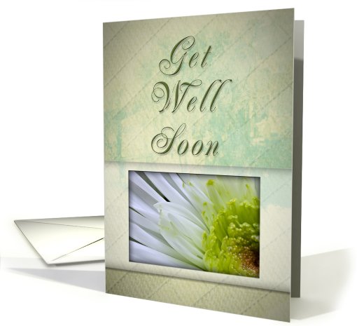 Get Well Soon, White and Green Flower card (621717)