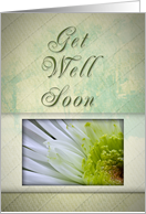 Get Well Soon, White and Green Flower card