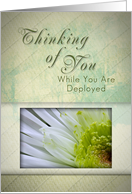 Thinking of You While You Are Deployed, White and Green Flower card