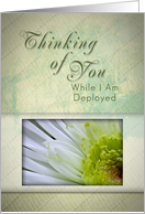 Thinking of You While I Am Deployed, White and Green Flower card