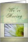 We’re Moving, White and Green Flower card