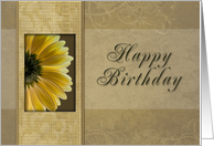 Happy Birthday, Yellow Daisy card