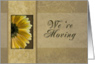 We’re Moving, Yellow Daisy card