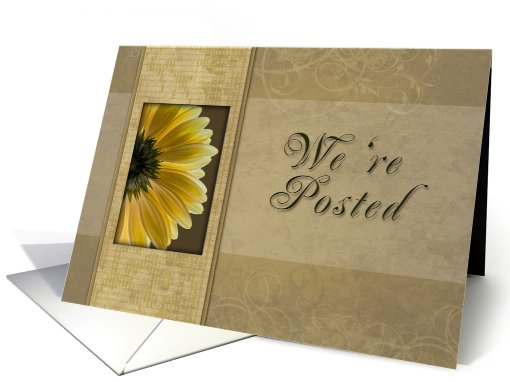 We're Posted, Yellow Daisy card (622032)