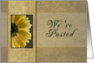 We’re Posted, Yellow Daisy card