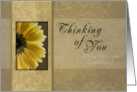 Thinking of You While You are Deployed, Yellow Daisy card