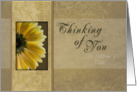 Father’s Day Thinking of You, Yellow Daisy card