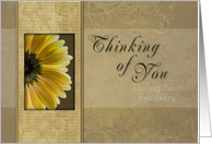 Thinking of You During Your Recovery, Yellow Daisy card