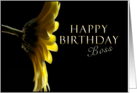 Happy Birthday Boss, Yellow Daisy card