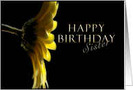 Happy Birthday Sister, Yellow Daisy card