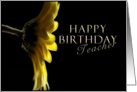 Happy Birthday Teacher, Yellow Daisy card