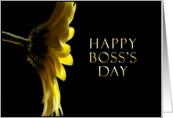 Happy Boss’s Day, Yellow Daisy card
