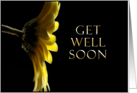 Get Well Soon, Yellow Daisy card