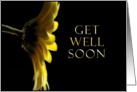 Get Well Soon, Yellow Daisy card