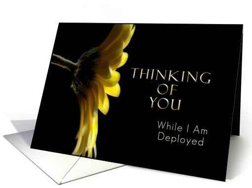 Thinking of You While I Am Deployed, Yellow Daisy card (622169)
