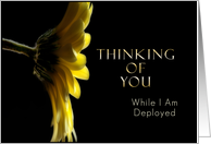 Thinking of You While I Am Deployed, Yellow Daisy card