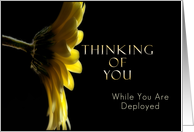 Thinking of You While You Are Deployed, Yellow Daisy card