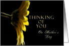 Thinking of You On Mother’s Day, Yellow Daisy card