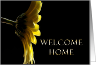 Welcome Home, Yellow Daisy card