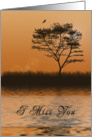 I Miss You, Orange sunset with Tree by Lake card