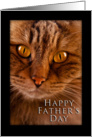 Happy Father’s Day, Cat card