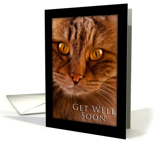 Get Well Soon, Cat card (623267)