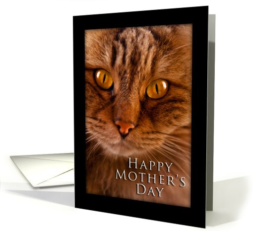 Happy Mother's Day, Cat card (623269)