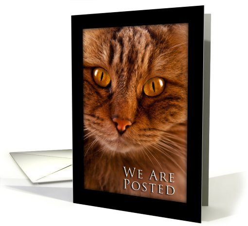 We Are Posted, Cat card (623273)