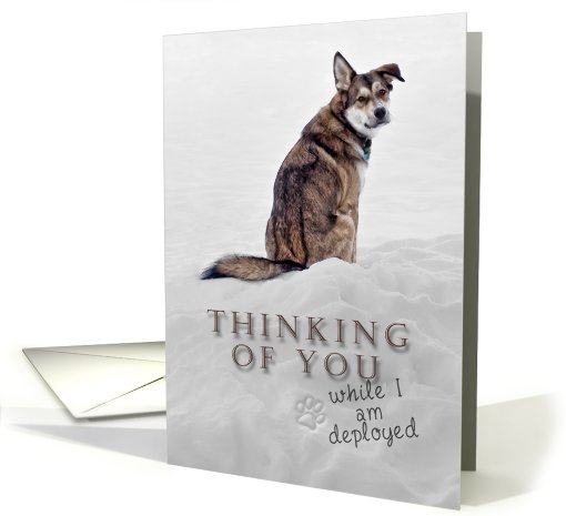 Thinking of You While I Am Deployed, Dog in Snow card (624315)