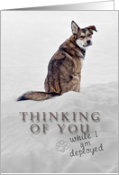 Thinking of You While I Am Deployed, Dog in Snow card