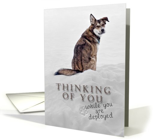 Thinking of You While You Are Deployed, Dog in Snow card (624316)