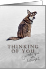 Thinking of You While You Are Deployed, Dog in Snow card