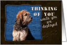 Thinking of You While You Are Deployed, Dog by water card