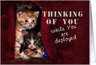 Thinking of You While You Are Deployed, Kittens card