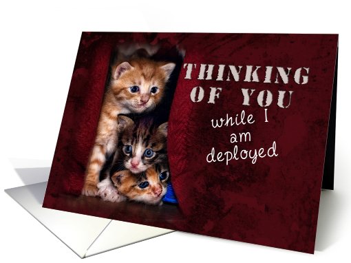 Thinking of You While I Am Deployed, Kittens card (624319)