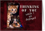 Thinking of You While I Am Deployed, Kittens card