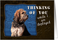 Thinking of You While I Am Deployed, Dog by Water card