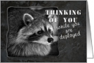 Thinking of You While You Are Deployed, Racoon card