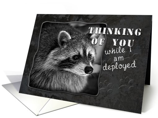 Thinking of You While I Am Deployed, Racoon card (624324)