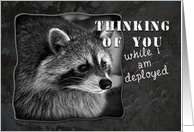 Thinking of You While I Am Deployed, Racoon card