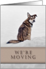 We’re Moving, Dog in Snow card