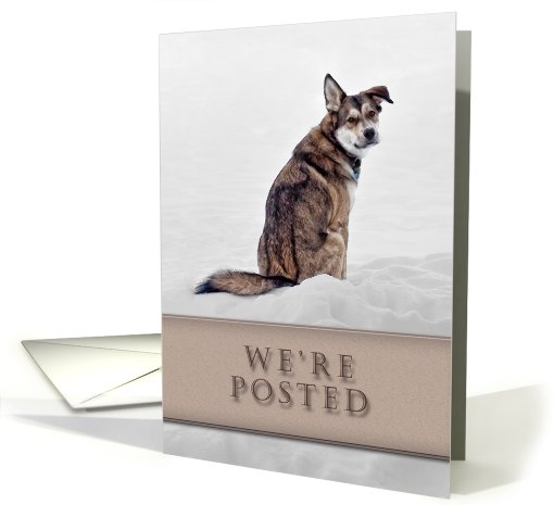 We're Posted, Dog in Snow card (624429)